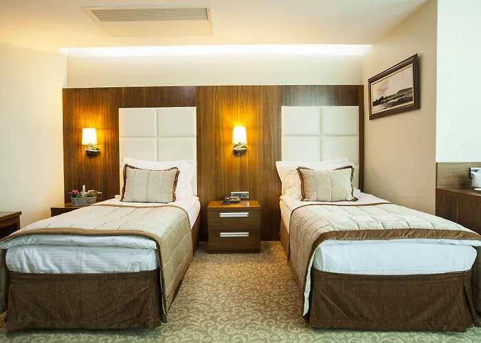 Vivaldi Ce Gold 4* Ankara