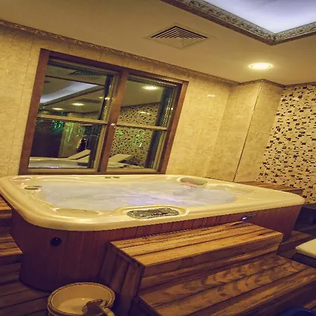 Vivaldi Ce Gold מלון אנקרה