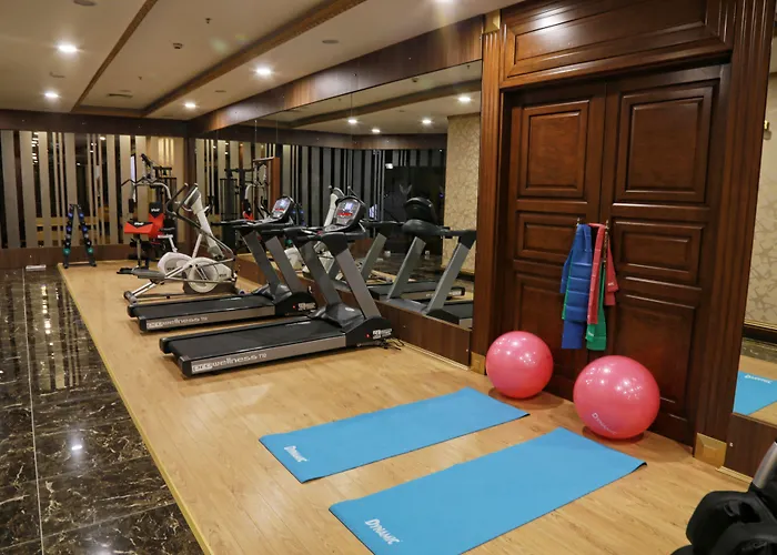 Vivaldi Ce Gold Ankara